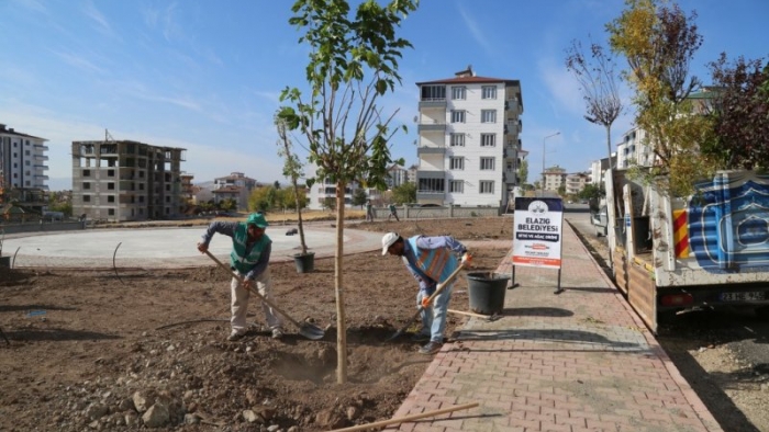 DOĞUKENT MAHALLESİ’NDE AĞAÇ DİKİMİ GERÇEKLEŞTİRİLDİ