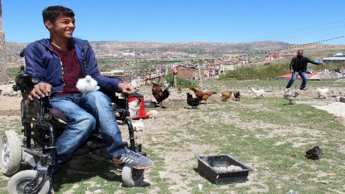 Elazığ’da oğlunun isteği gelir kaynağı oldu