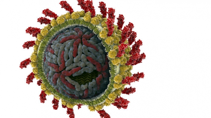 Yeni rapor, dünya genelinde hepatit C virüslü kişilerin sayısını yarı yarıya azalttı